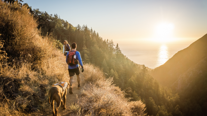 Image Arthritis Cold Denver Doctor 1030x580 1