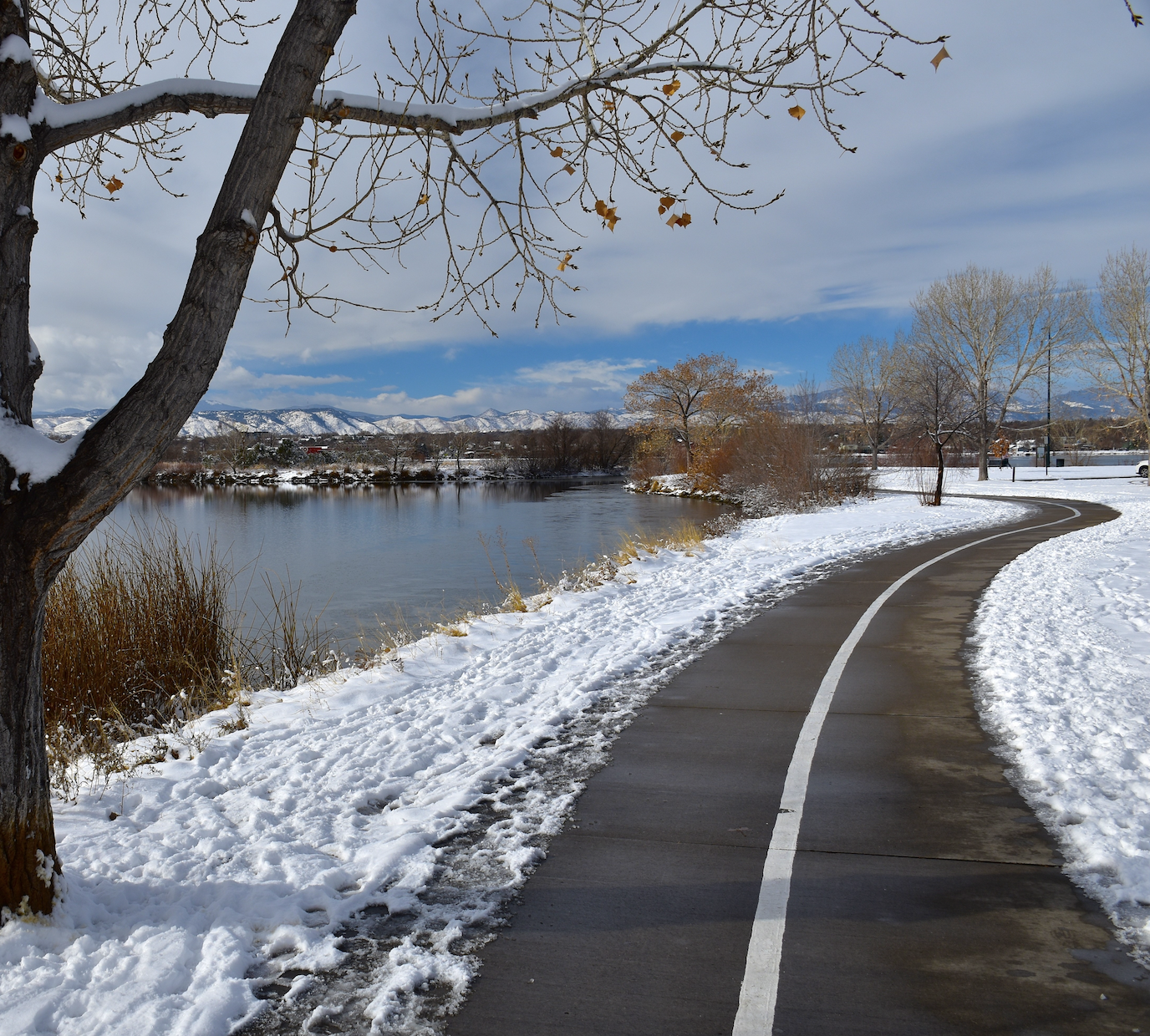 Image | Slip Fall Athlete Denver Top Doctors